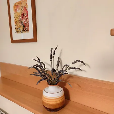 Apartma Laura Ankaran