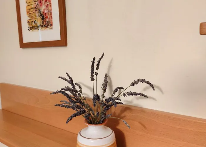 Apartma Laura أنكاران